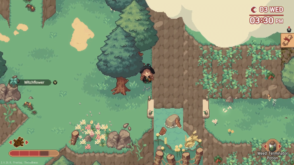 Collecting the Witchflower in Little Witch in the Woods