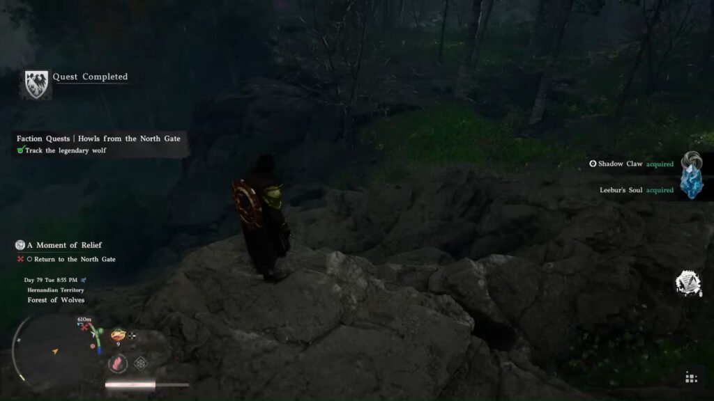 Crimson Desert Shadow Claw