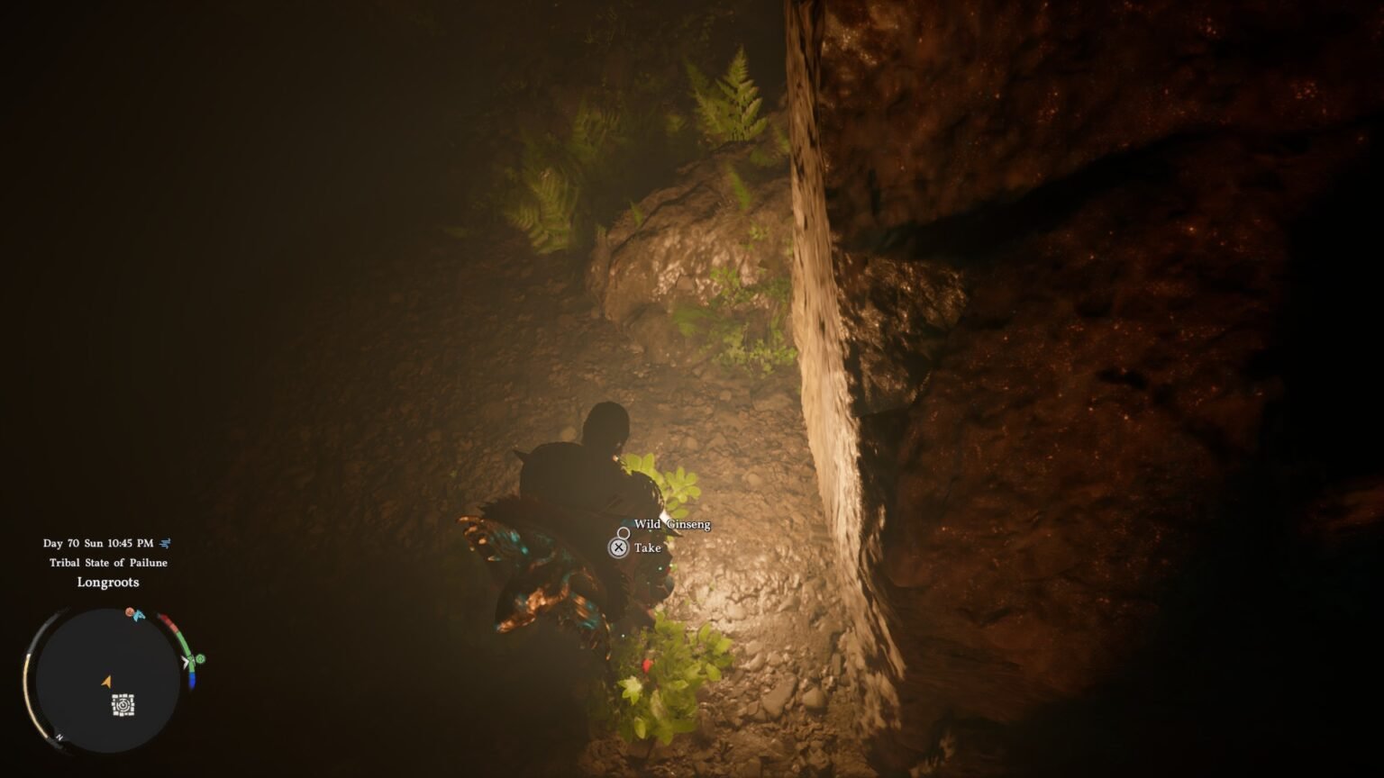 Crimson Desert Wild Ginseng Locations