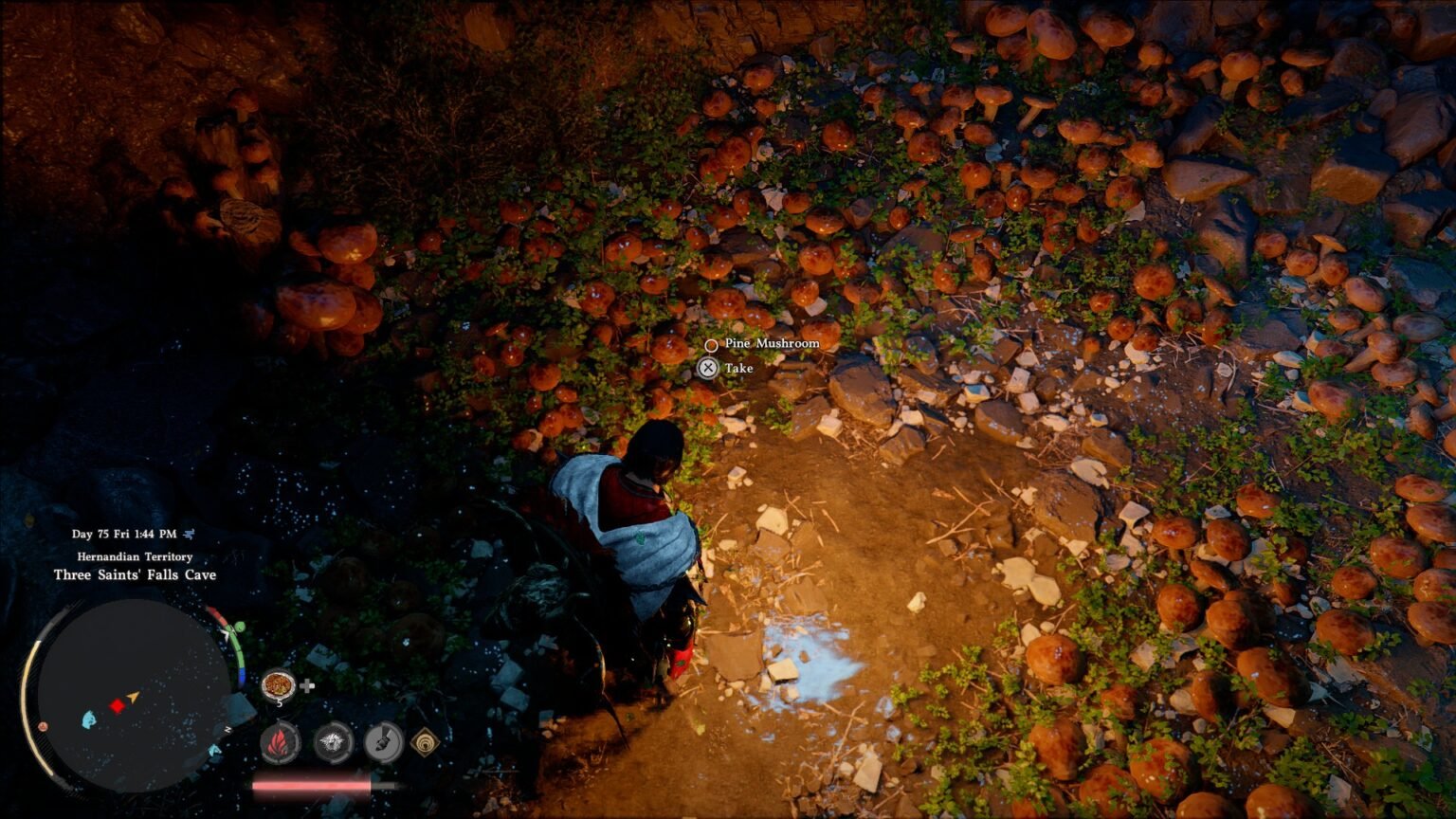 Crimson Desert: How To Make Pine Mushroom Tea Crimson Desert Pine Mushroom Tea