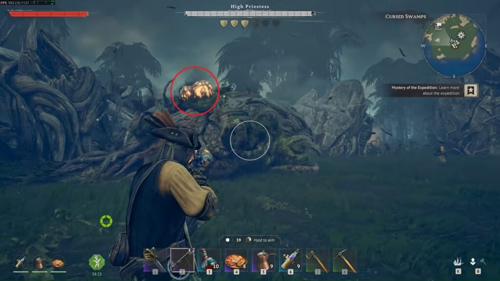 Windrose High Priestess weak spots