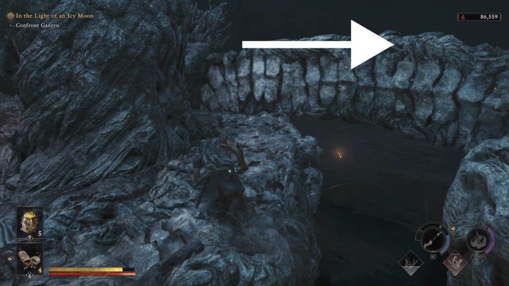 Onimusha Way of the Sword In the Light of an Icy Moon Final Run 3