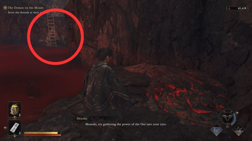 Onimusha Way of the Sword Mount Oe Ladder in Malice area