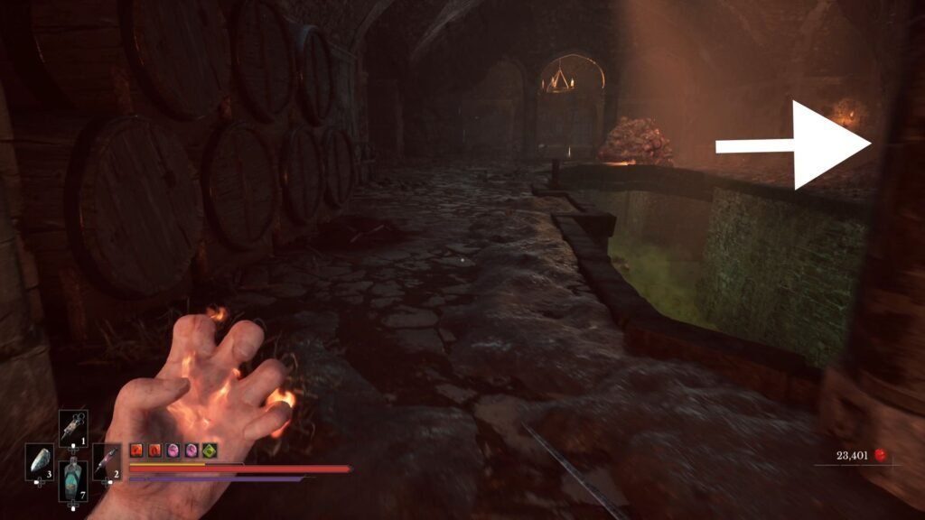 Valor Mortis Chapter 9 Frenzied Flame route progression 4