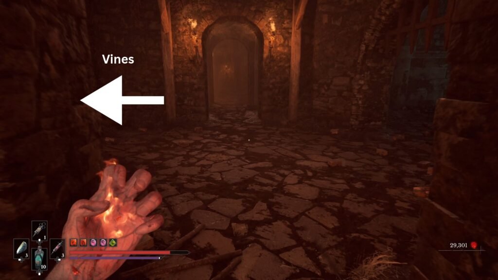 Valor Mortis Chapter 9 Frenzied Flame route progression 6